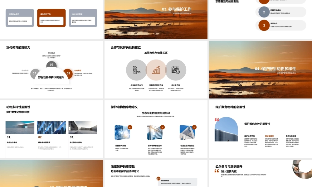 保护野生动物栖息地维系生态平衡.pptx
