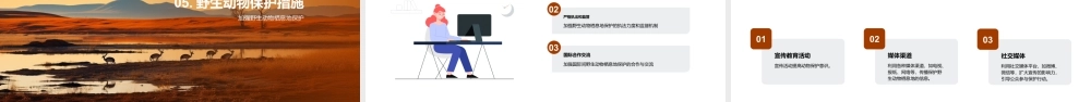 保护野生动物栖息地维系生态平衡.pptx
