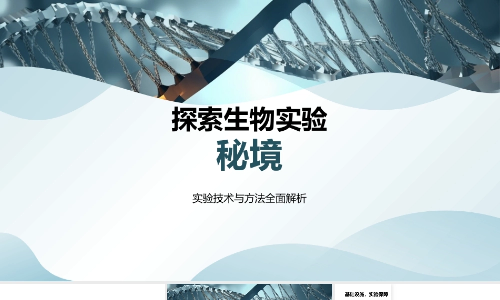 生物实验技术显微解析与安全.pptx