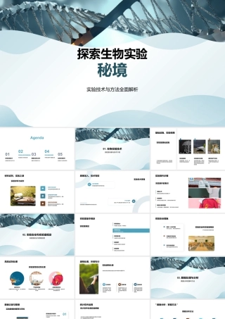生物实验技术显微解析与安全.pptx