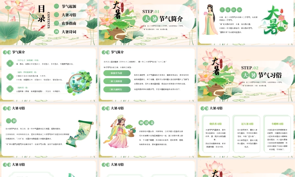 大暑节气介绍.pptx