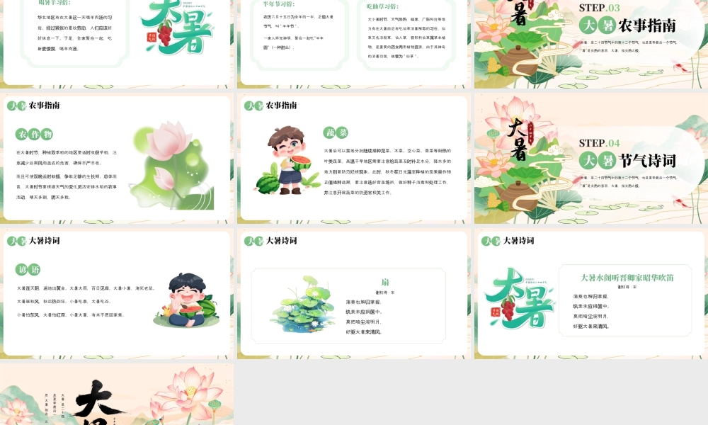 大暑节气介绍.pptx