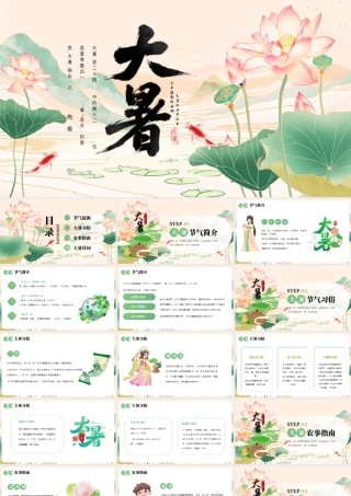 大暑节气介绍.pptx