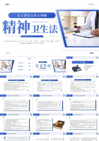 紫色简约精神卫生法解读 .pptx
