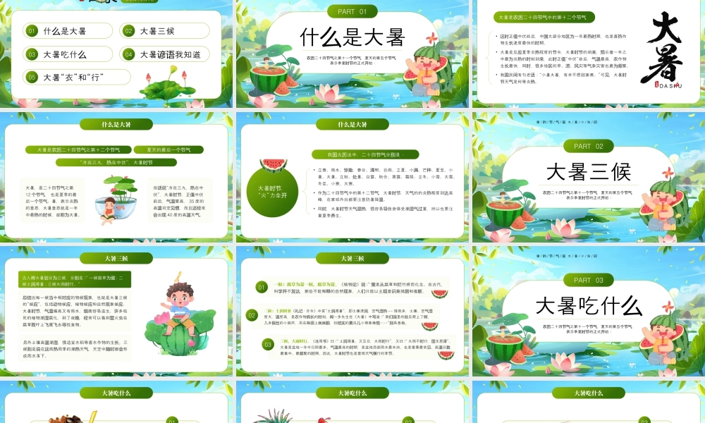 绿色画风大暑节气介绍.pptx
