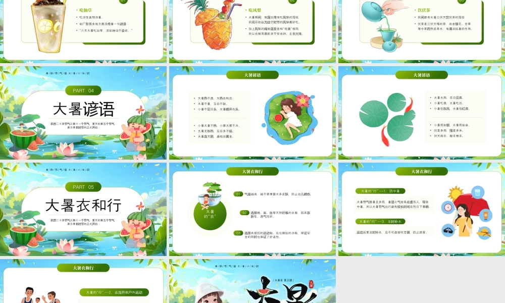 绿色画风大暑节气介绍.pptx
