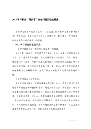 2025年学习教育“回头看”存在问题及整改措施+领导班子专题“回头看”自查情况报告.docx