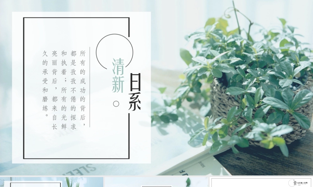 精美绿叶盆栽背景的清新日系.pptx