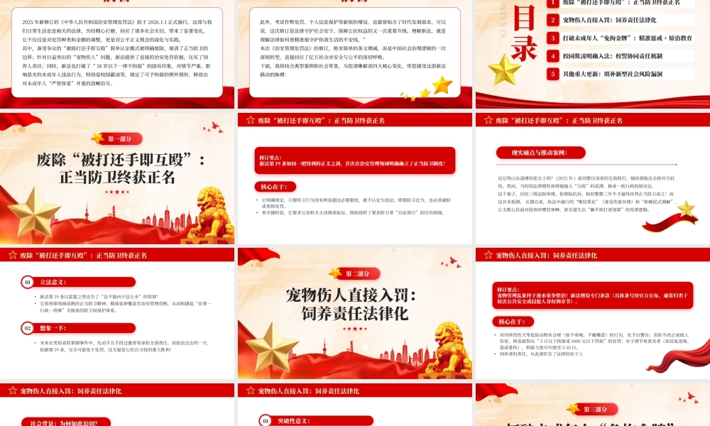 红色党政风新治安管理处罚法解读.pptx