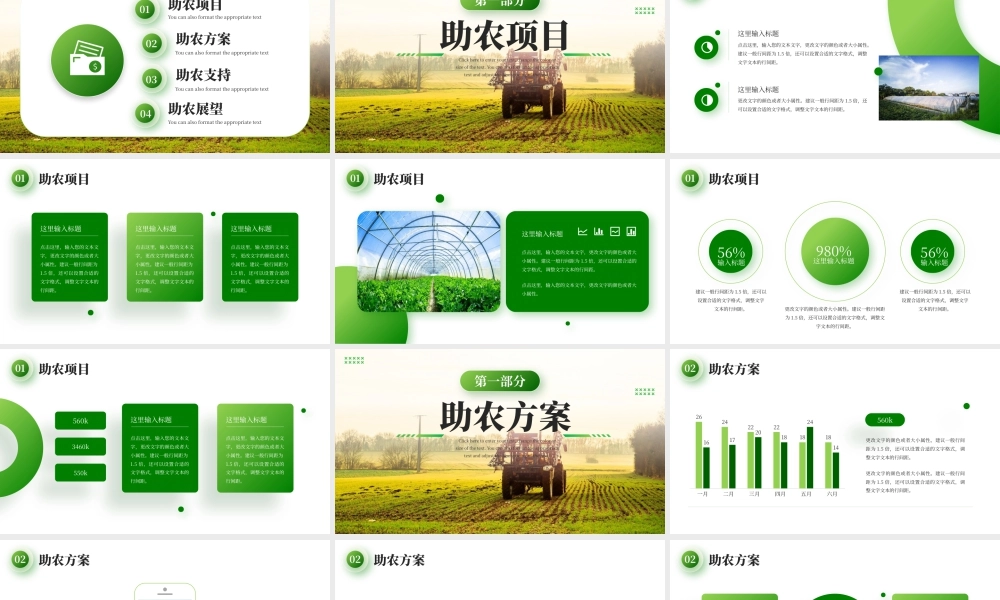 绿色直播助农项目计划 .pptx