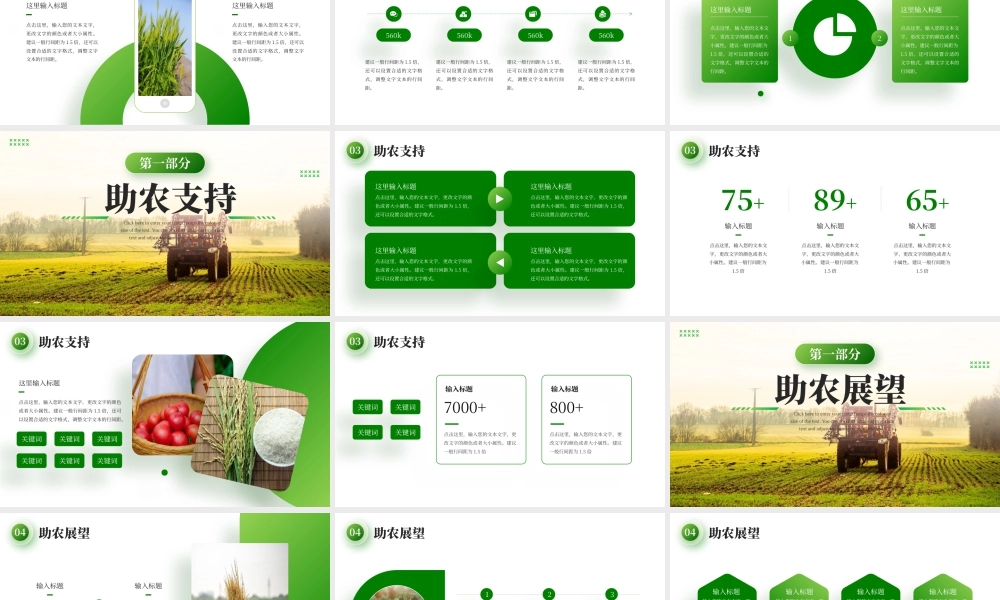 绿色直播助农项目计划 .pptx