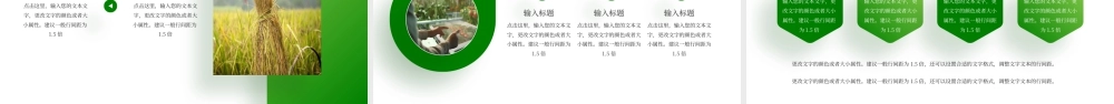 绿色直播助农项目计划 .pptx