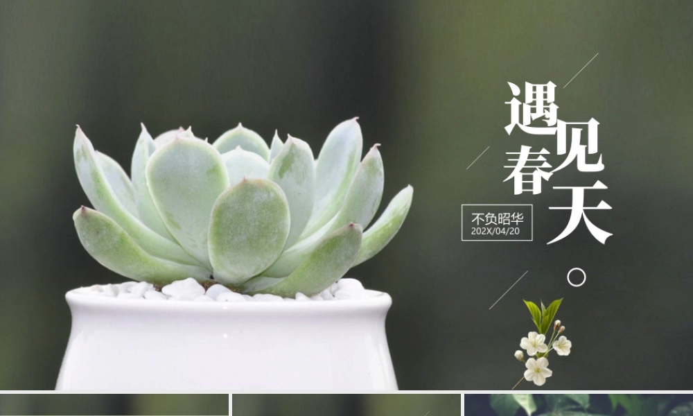 绿色精美盆景背景的“遇见春天”植物系商务汇报.pptx
