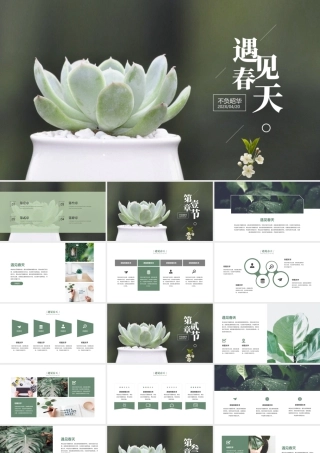 绿色精美盆景背景的“遇见春天”植物系商务汇报.pptx