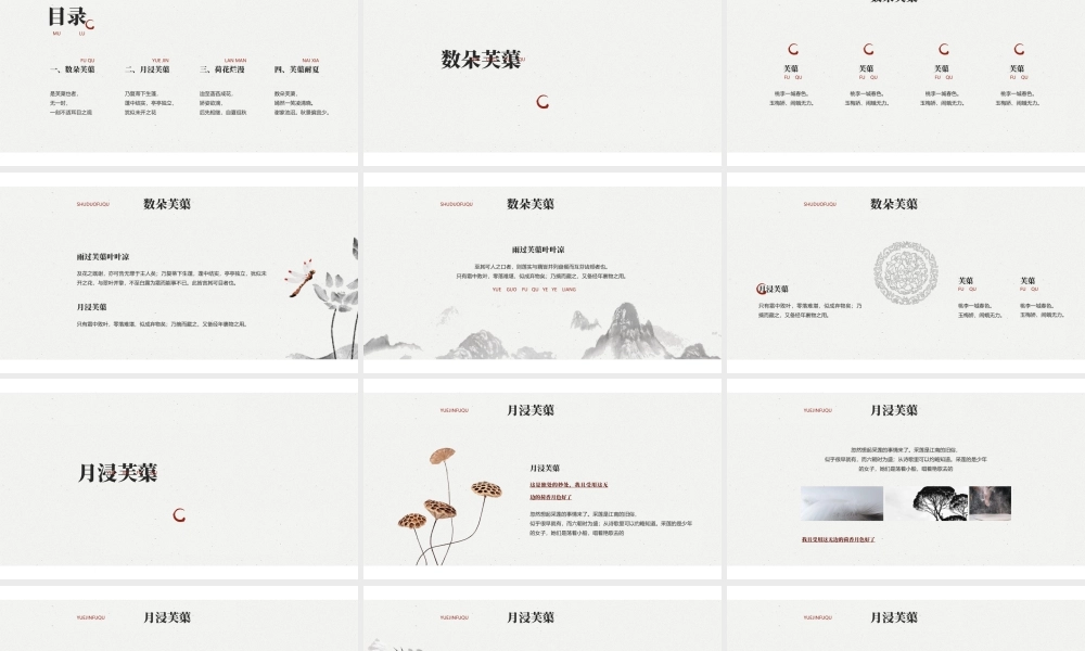 水墨花卉背景的“雨过芙蕖”古典中国风.pptx