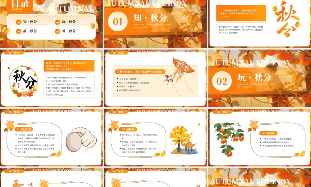 橙色画风秋分节气主题 .pptx