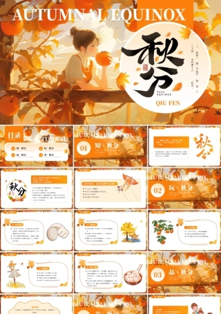 橙色画风秋分节气主题 .pptx