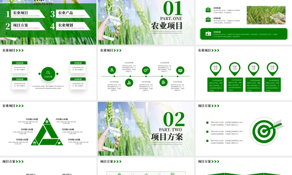 绿色简约振兴乡村项目计划书 .pptx