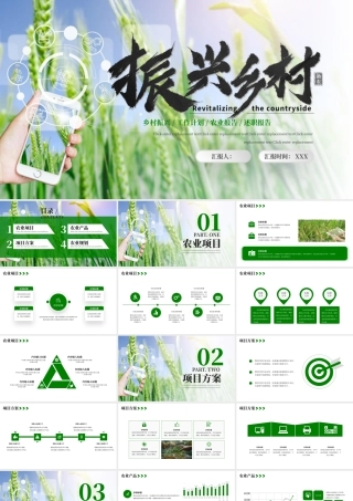 绿色简约振兴乡村项目计划书 .pptx