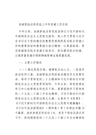 XX执法X组上半年X建工作总结.docx
