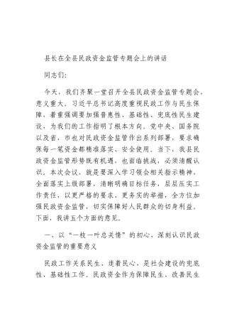 长在全民政资金监管专题会上的讲话.docx