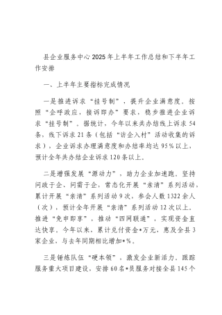 企业服务中心2025年上半年工作总结和下半年工作安排.docx