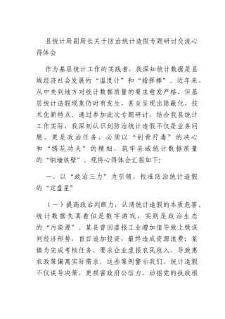 统计副长关于防治统计造假专题研讨交流心得体会.docx