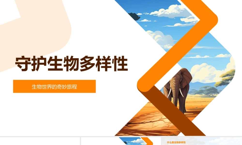 守护生物多样性保护生态系统遗传种类地球.pptx