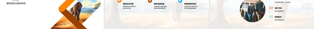 守护生物多样性保护生态系统遗传种类地球.pptx