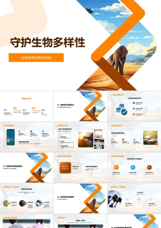 守护生物多样性保护生态系统遗传种类地球.pptx