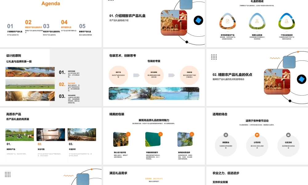 新春高质农品礼盒传递佳节祝福.pptx
