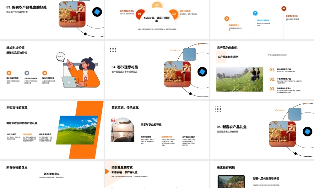 新春高质农品礼盒传递佳节祝福.pptx
