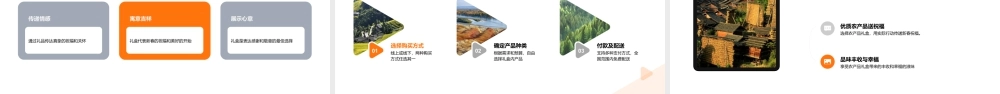 新春高质农品礼盒传递佳节祝福.pptx