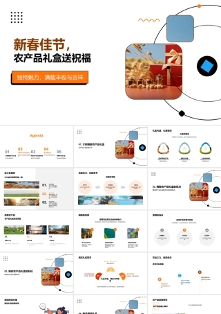 新春高质农品礼盒传递佳节祝福.pptx