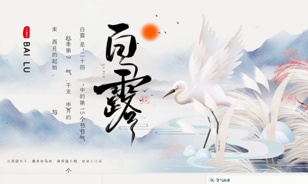 简约创意白露节气宣传介绍 .pptx