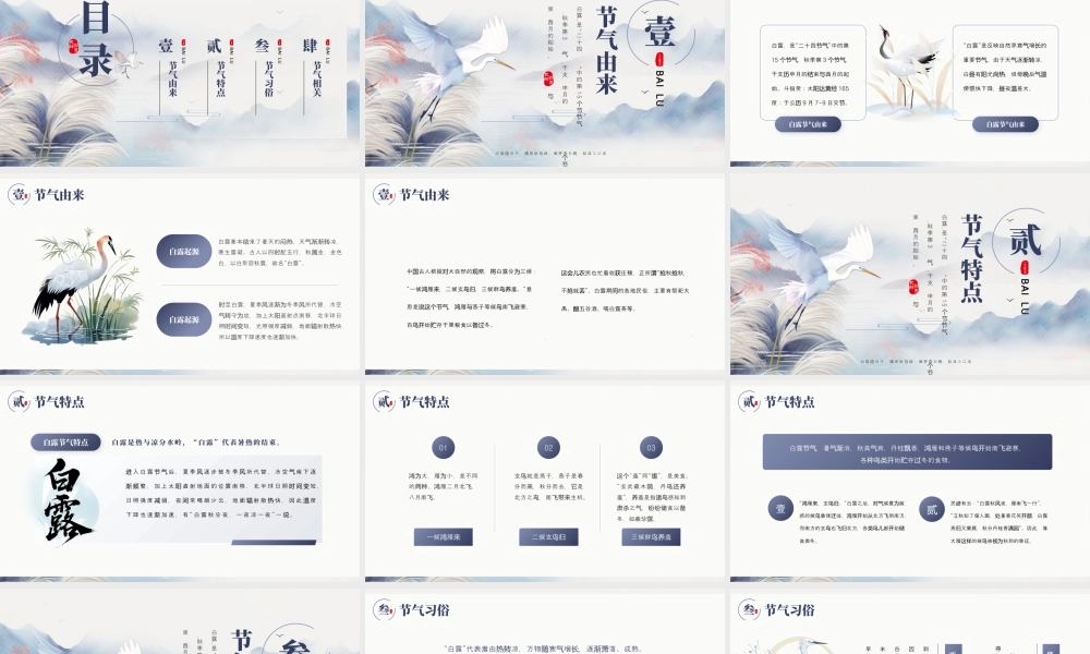 简约创意白露节气宣传介绍 .pptx