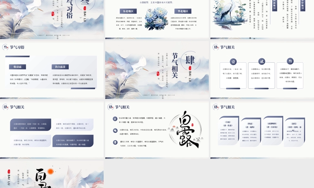 简约创意白露节气宣传介绍 .pptx