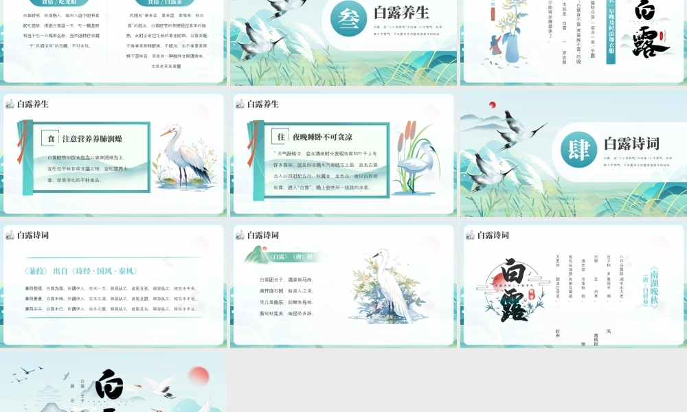 小清新白露节气介绍 .pptx