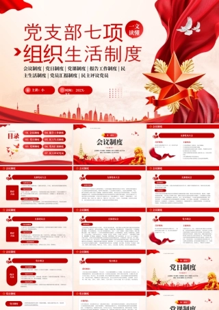 党支部七项组织生活制度.pptx