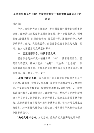 在 2025 年新提拔科级干部任前集体谈话会上的讲话.doc