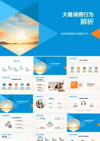 大暑高温消费行为与营销策略创新.pptx
