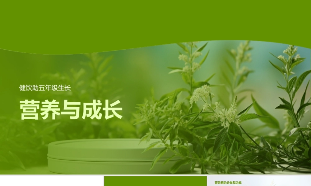 五年级儿童成长营养健康膳食计划.pptx