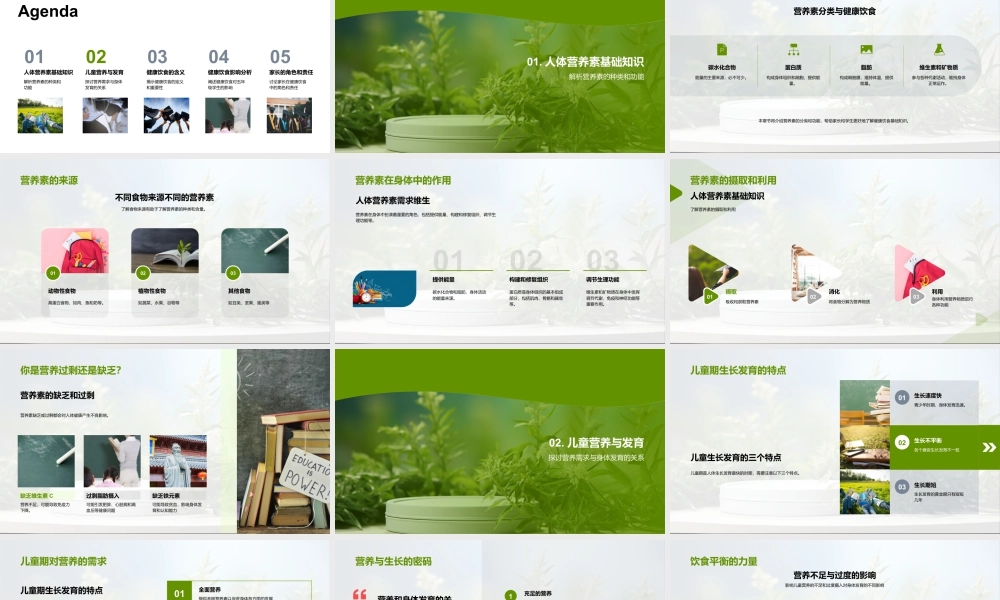 五年级儿童成长营养健康膳食计划.pptx