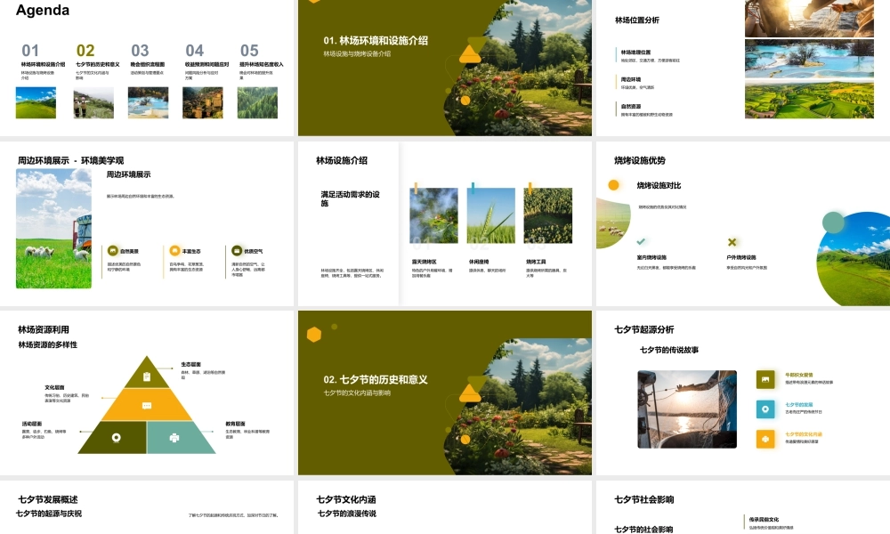 七夕林场烧烤商业活动策划解析.pptx
