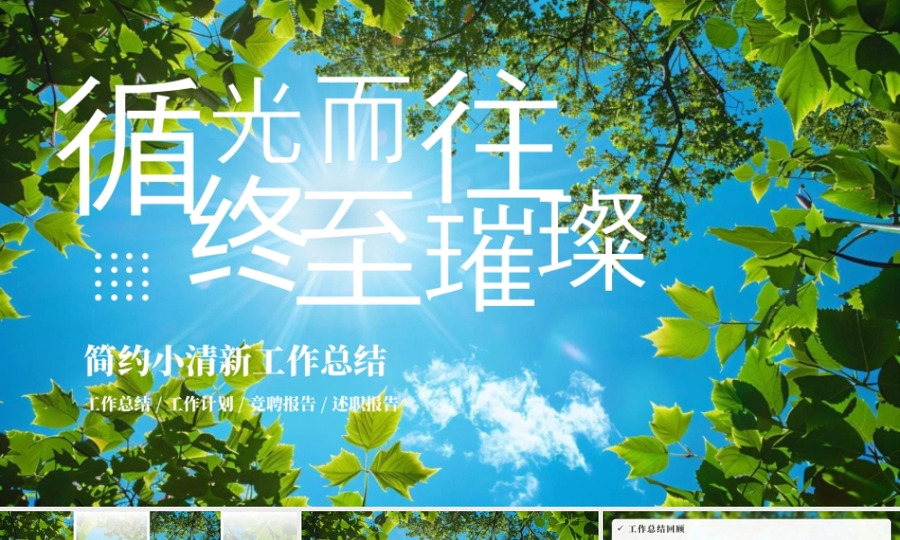 蓝天绿叶背景的“循光而往终至璀璨”简约小清新工作总结.pptx