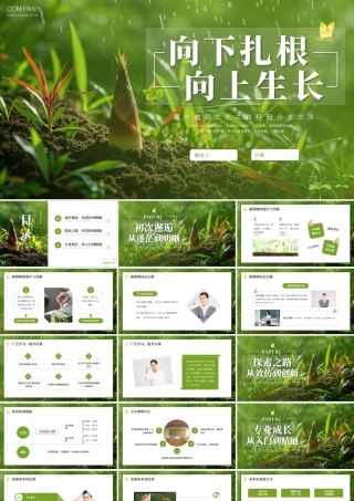 绿色竹笋小草背景的“向下扎根向上生长”青年教师成长之路经验分享交流.pptx