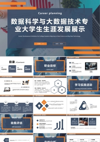 数据科学与大数据技术专业大学生生涯发展展示6.pptx