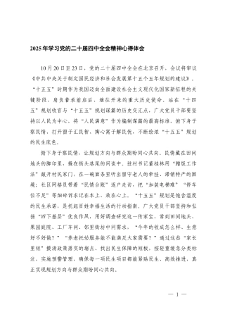 2025年10月 学习党的二十届四次全会精神心得体会.docx