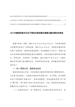 2025年集团党委书记关于落实巡察反馈意见整改情况、进展情况的报告及整改工作推进会上的讲话.docx