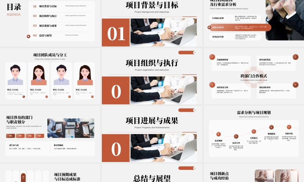 棕色简约跨部门协同项目汇报.pptx